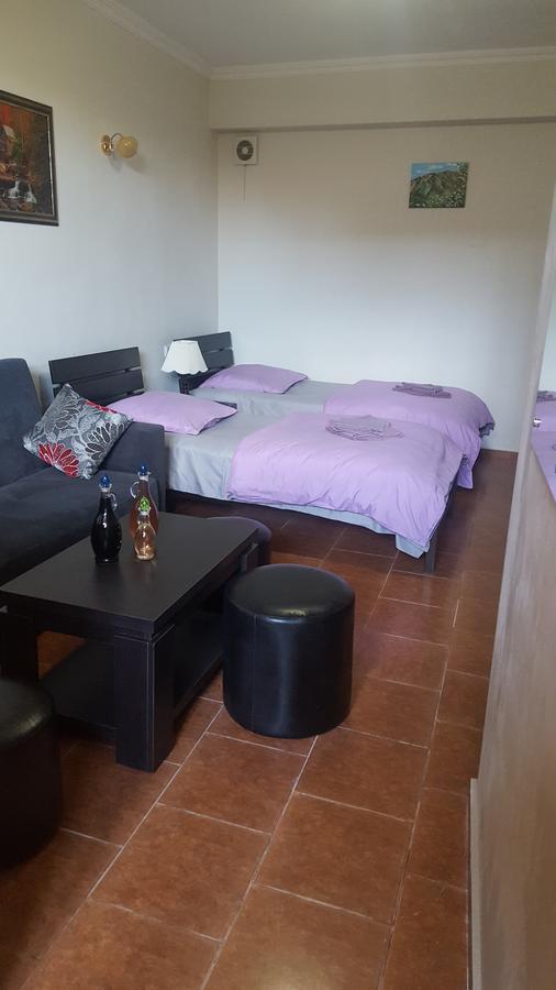 Apartmán Vazi Tbilisi Exteriér fotografie