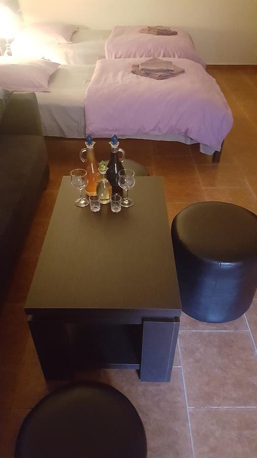 Apartmán Vazi Tbilisi Exteriér fotografie